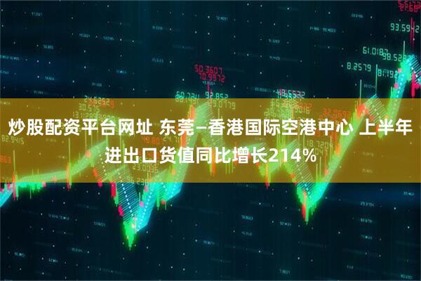 炒股配资平台网址 东莞—香港国际空港中心 上半年进出口货值同比增长214%